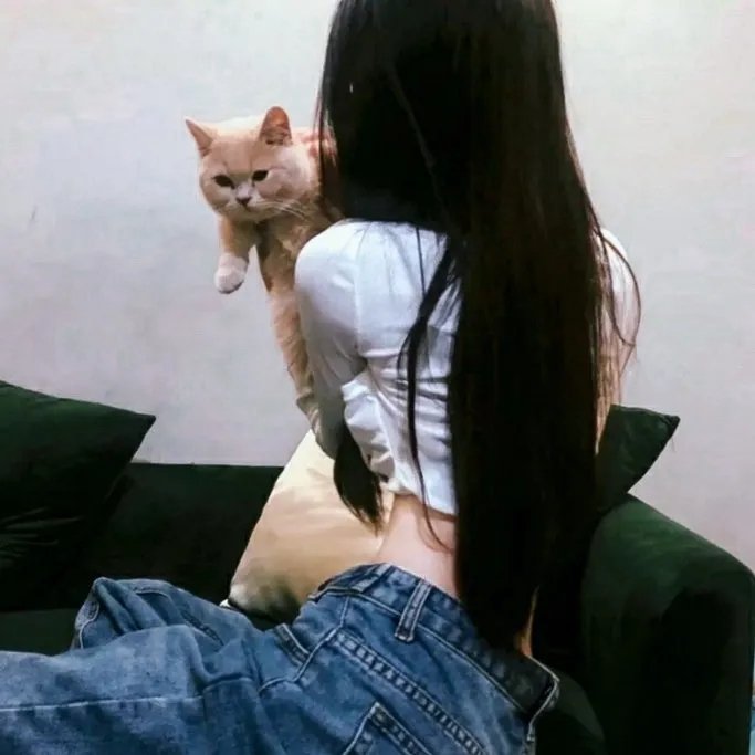 哥吉拉的逆袭封面