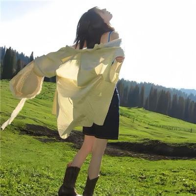 征服者威廉封面