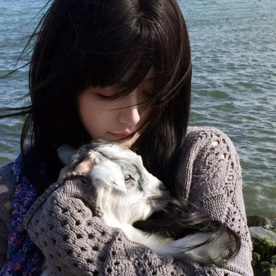 刺客公敌封面